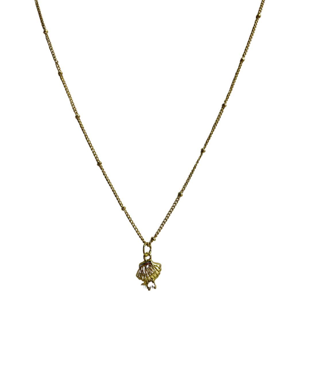 Small Sea Shell Chain