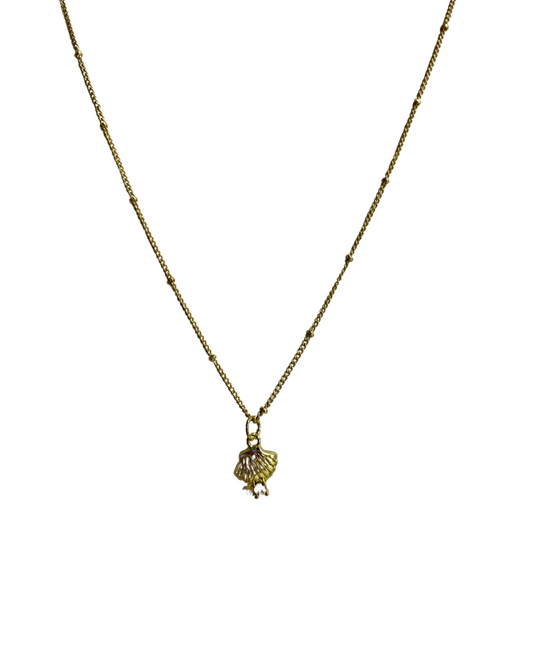 Small Sea Shell Chain