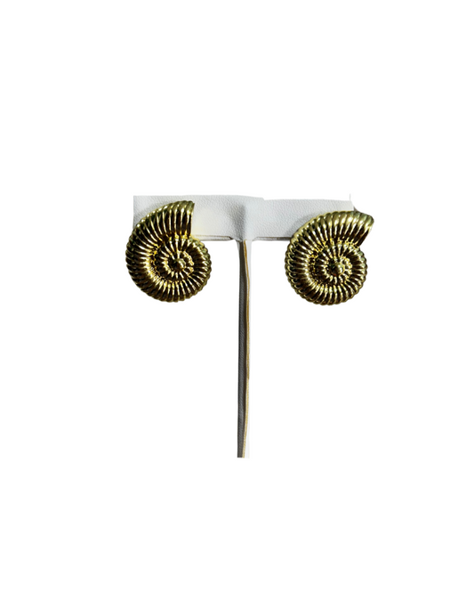 Shell Earrings