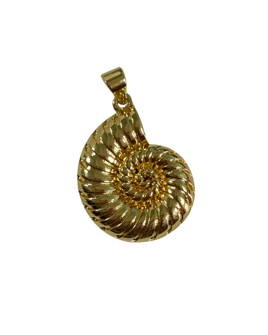 Shell Charm