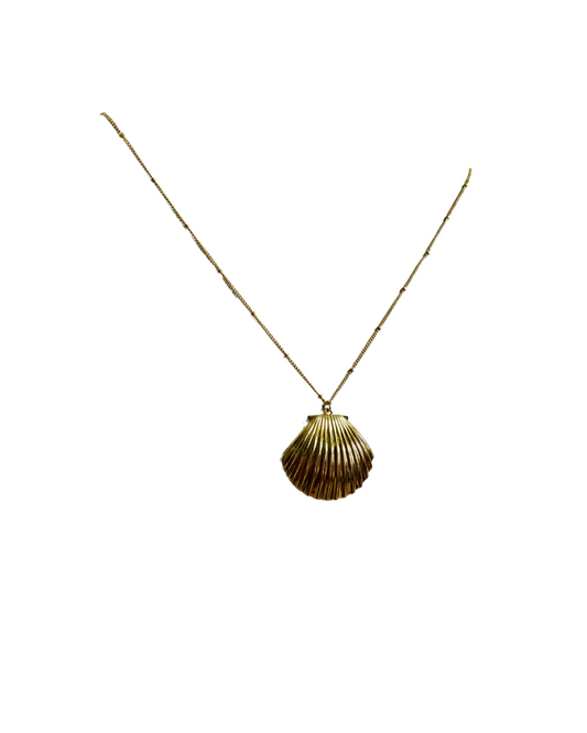 Shell necklace