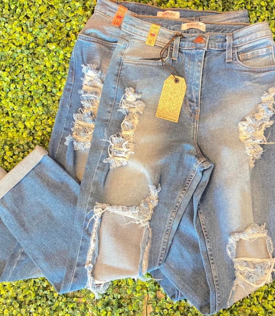 Vibrant Jean